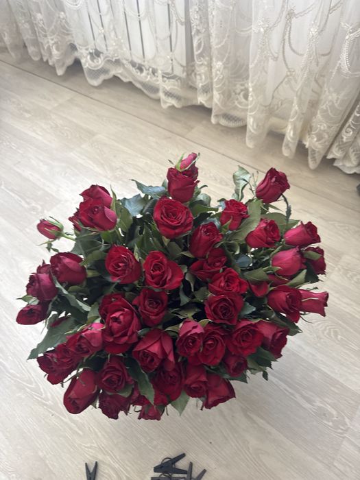 Продам 51 розу свежые