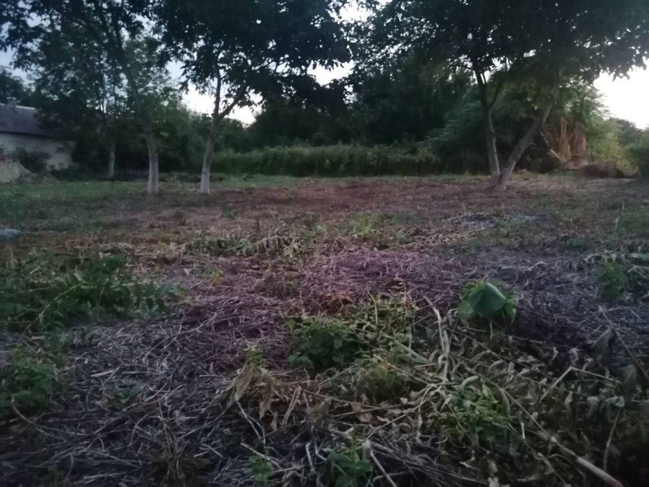 Продава ПАРЦЕЛ, област Велико Търново, с. Овча могила