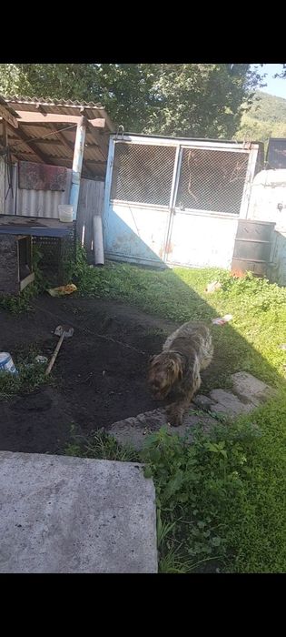 Продам Дратхар кабель