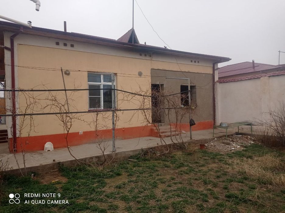 Kottejlarni birinchi qatori