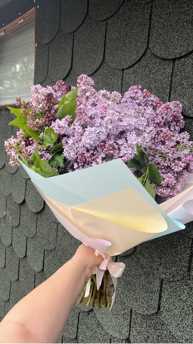 Апрельская сирень