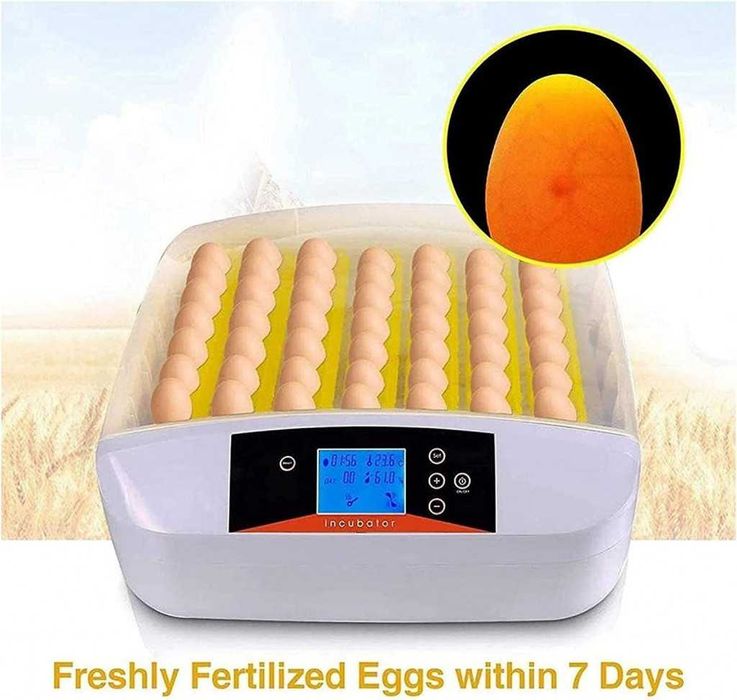 Инкубатор за яйца – 48 и 56 яйца с LED дисплей и автоматичен контрол