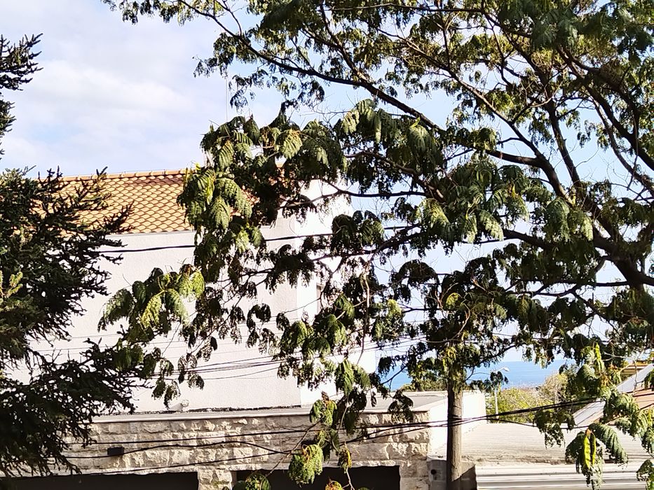 Слънчев 2-стаен апартамент под наем, паркомясто, св Константин&Елена