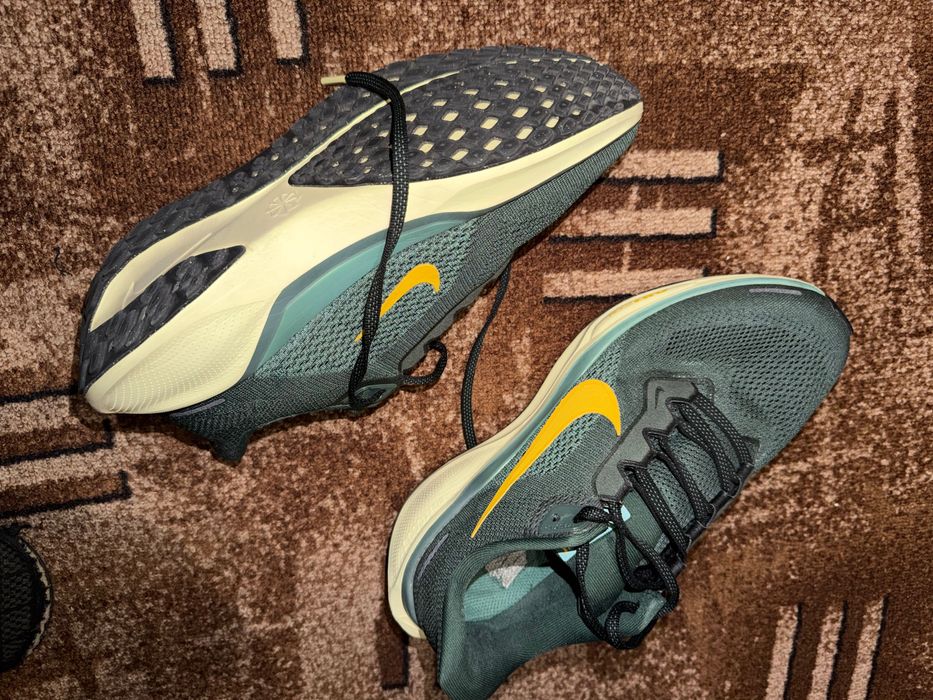 Маратонки Nike Pegasus 41