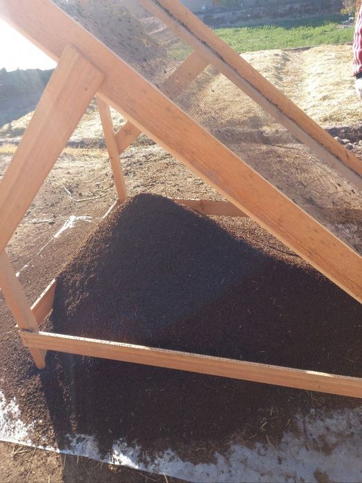 Biogomos sotiladi 100 foiz kafolat