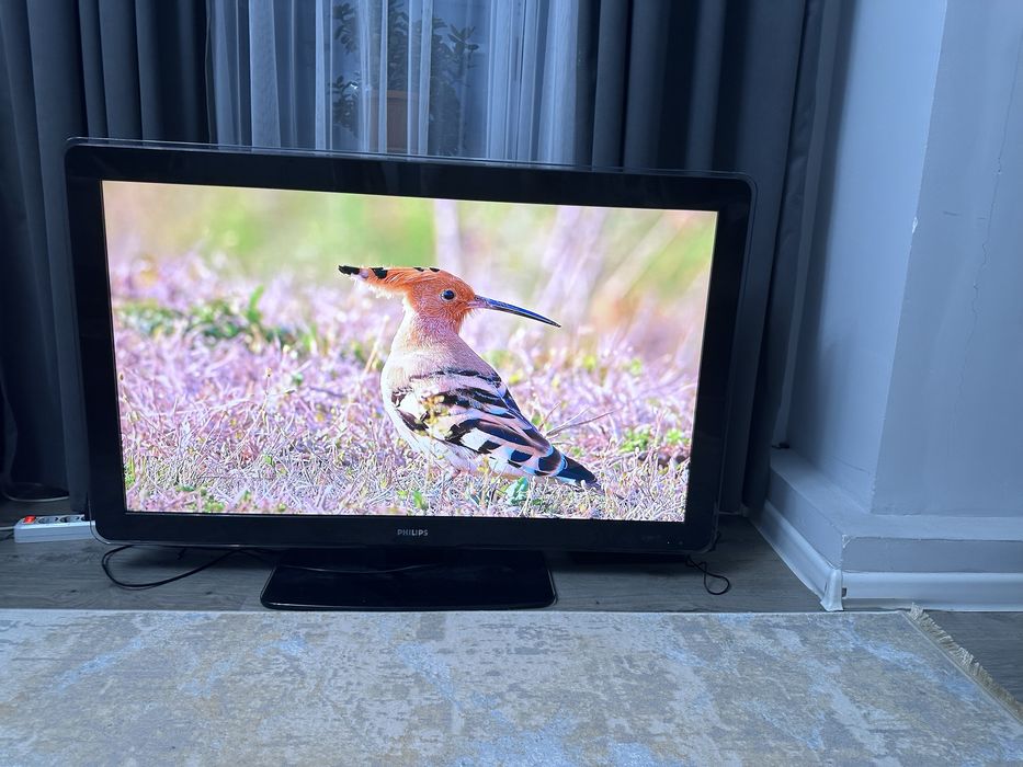 Телевизор огромный philips