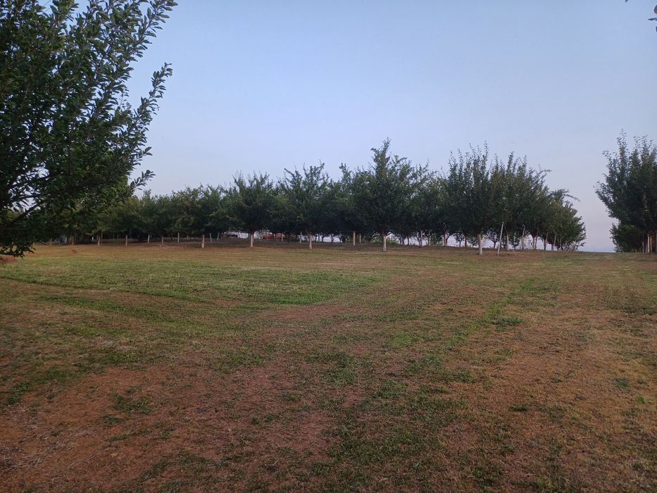 Отдавам пад наем овощна градина