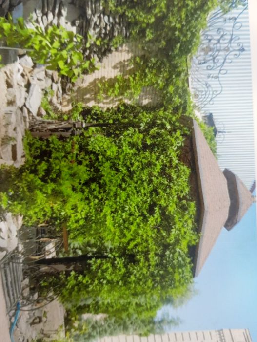 Мутахассис богбон хизмати