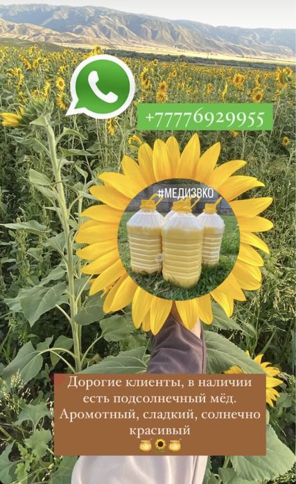 Продам мёд из ВКО. БАЛ.