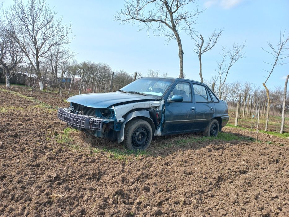 Cielo 2004 functional