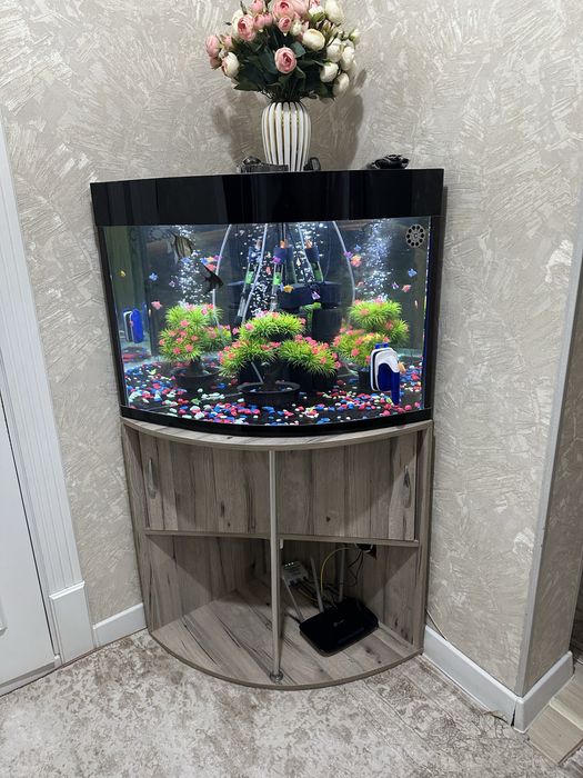 akvarium sotiladi