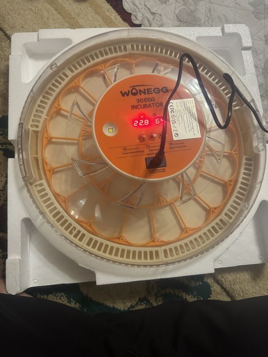 Инкубатор 30 EGG