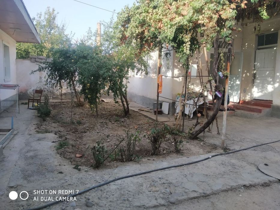 Hovli sotiladi srochna