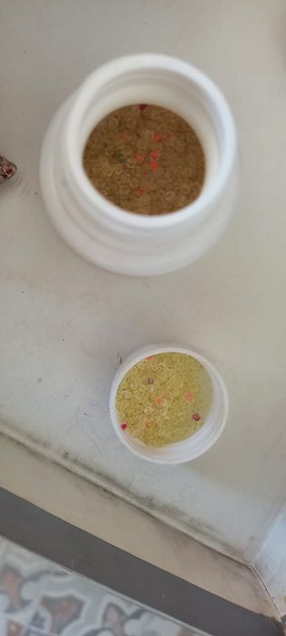 Бисер и обьезяна