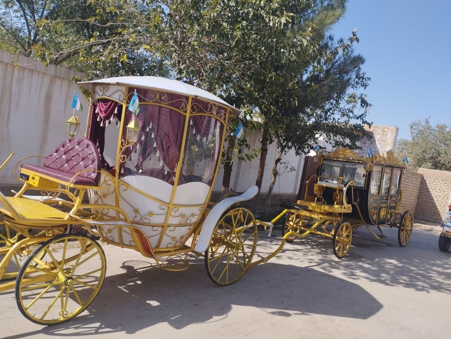 Tuy Marosimlar uchun ot arava