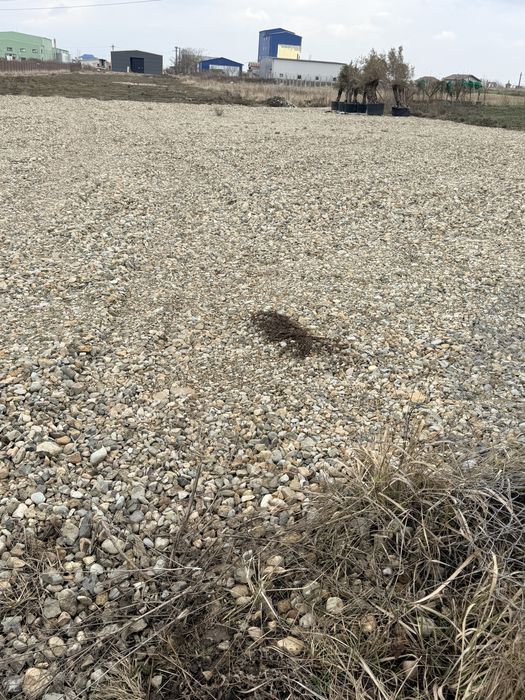 600 mp teren intavilan Osorhei