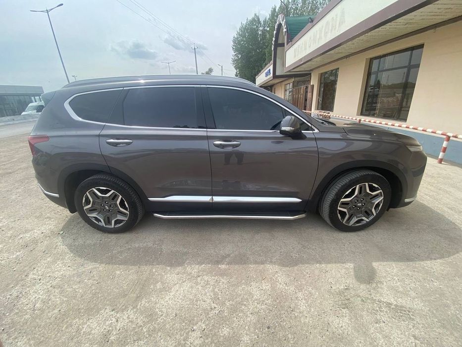 Molding Eshik / Молдинг Эшик / Дверь Hyundai SANTA FE