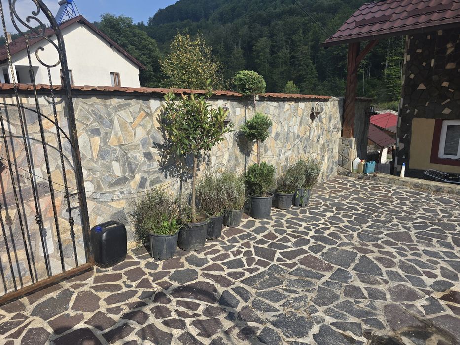 Piatra naturala de munte ideală pentru pavarea curții dvs