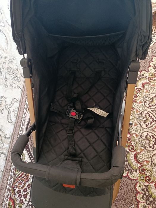 Kolyaska chamadonli  kocha kormagan) deymi
