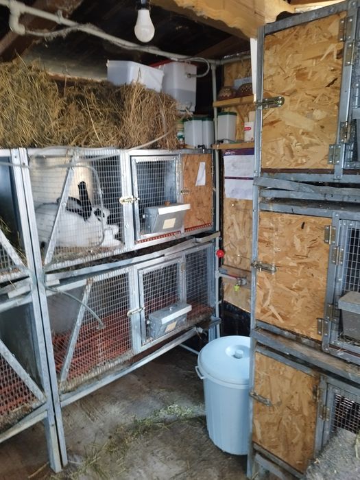 Клетки за зайци втора употреба.