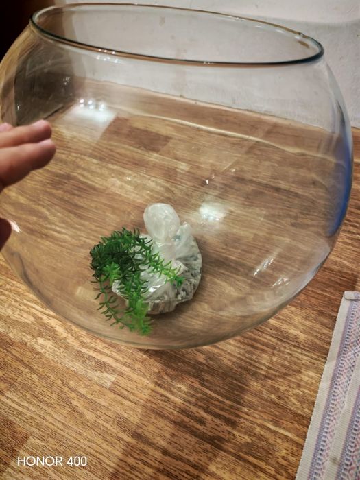 Аквариум жақсы жағдайда.