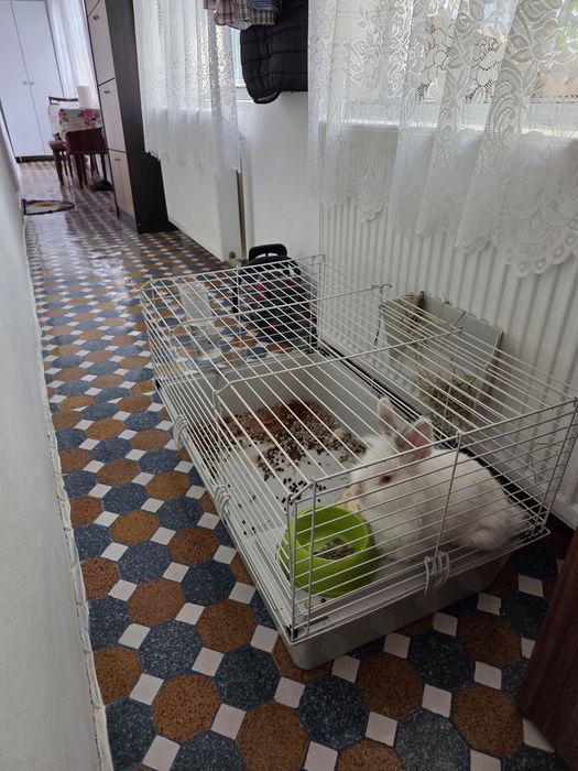 Cușcă iepure/răzătoare 80x50 cm