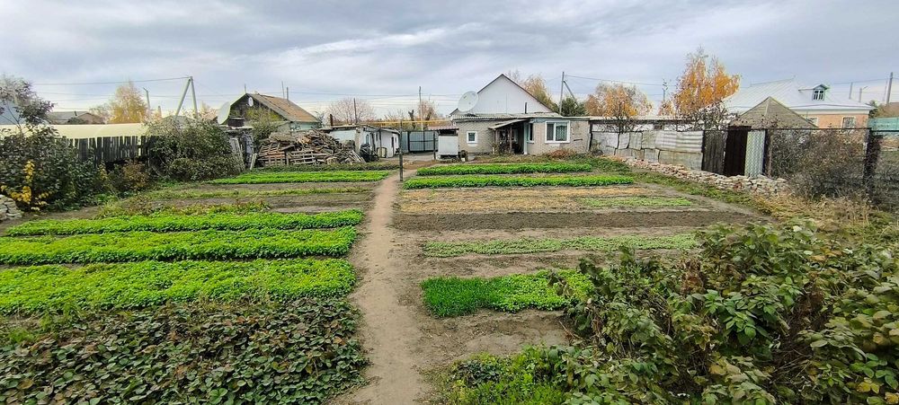 Продается дом в Затобольске