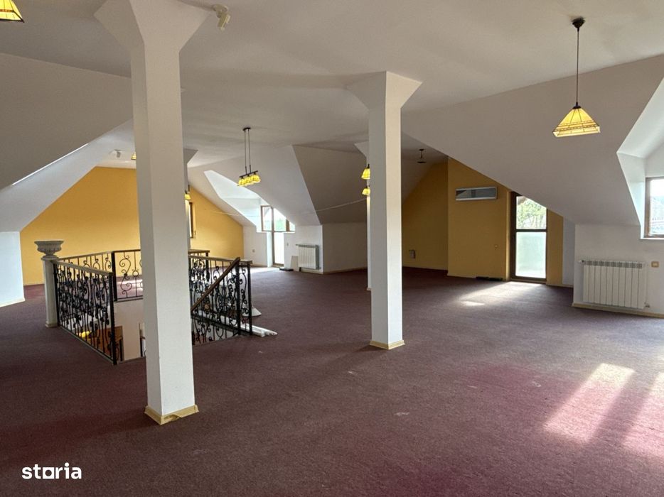 Vila Mogosoaia