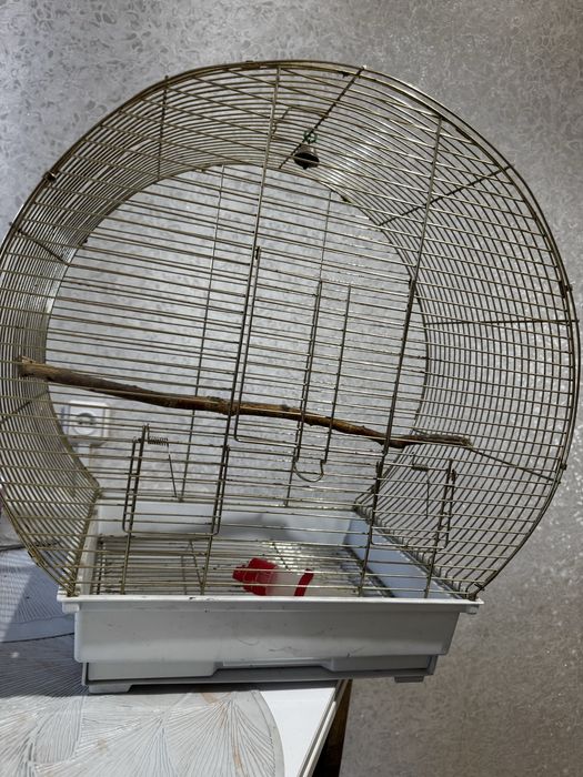 Клетка для птички