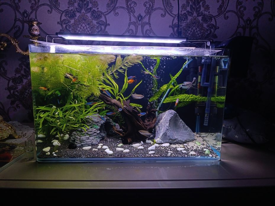 Срочно продам аквариум 40л