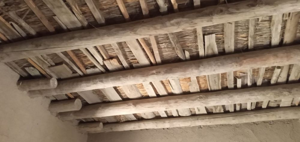 Joy sotiladi. Nukus Navoiy koʻchasi