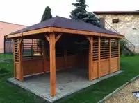 Foisoare Edi.România