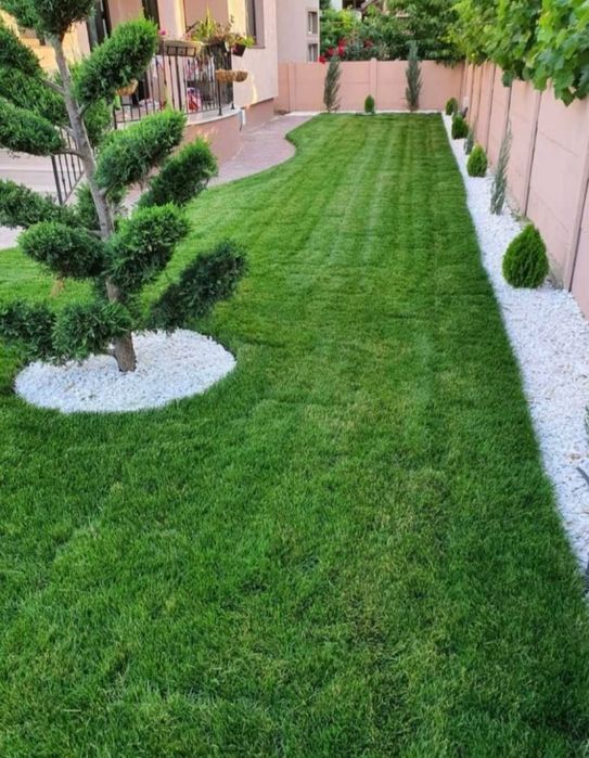Gazon rulou, scoarță/piatra decorativă, amnajam grădini plante gazon