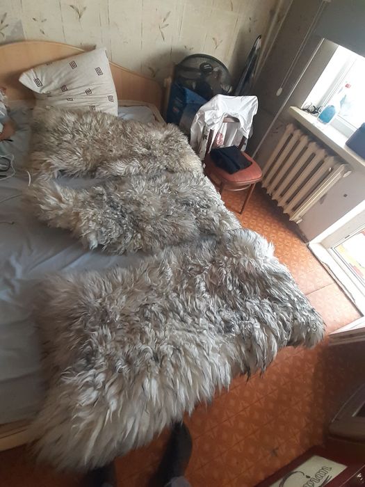 Продам козлиные шкуры