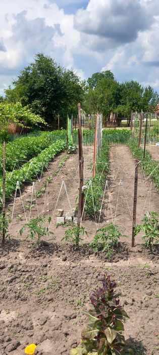 Продава се Къща в Стара Загора, Аязмото - 94 кв.м за 958 €/кв.м - Снимка #11