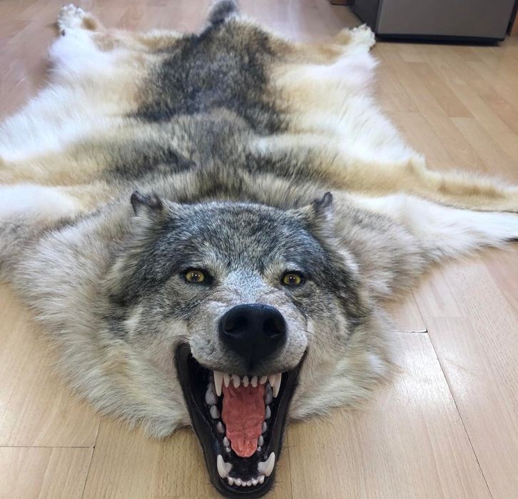 Каскыр тери сатылады