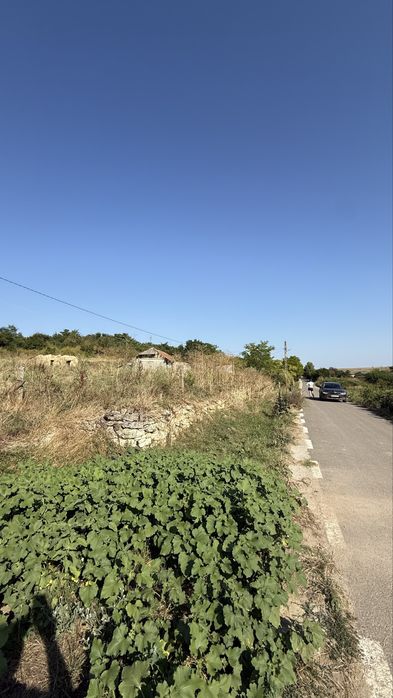 Teren 2000mp + casă veche Cotu Văii aproape de litoral Albesti/Mangalia/Vama Veche/Limanu/Arsa/Negru Voda/Plaja