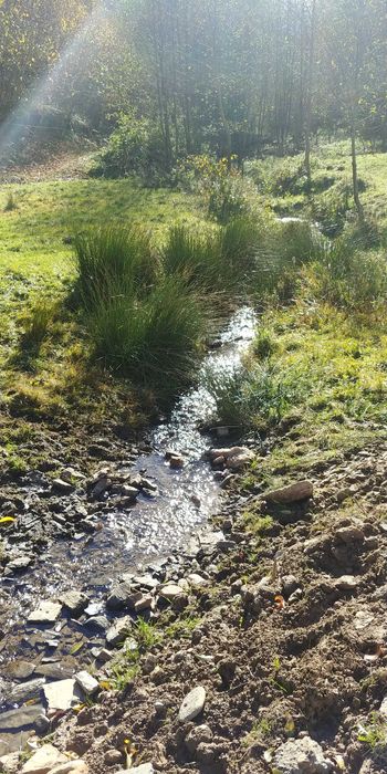 Proprietar -Vand sau Schimb- Casa si teren in Preluca Noua - Maramures