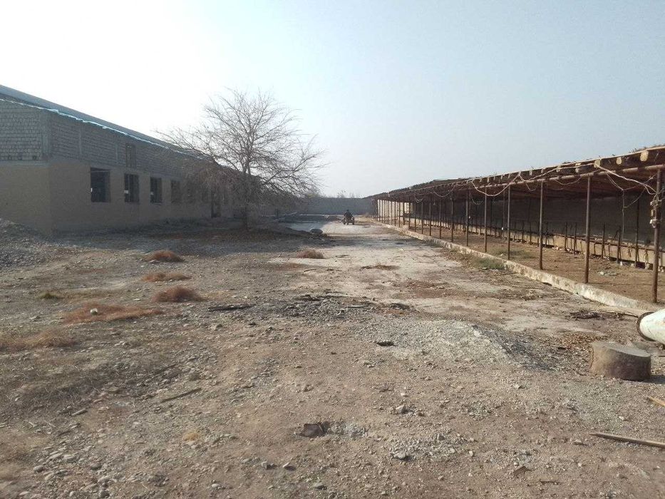 Яангйол тумани М34 йоли 53 сотих ферма сотилади