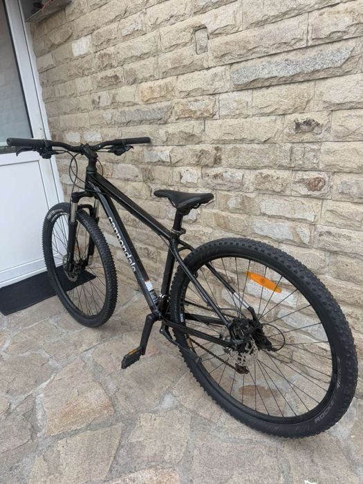 MTB Cannondale Trail 8 29/M