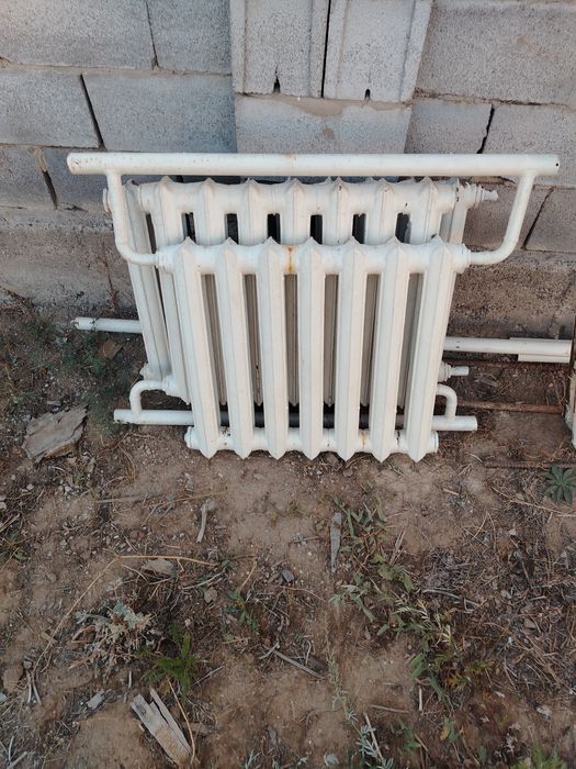 1сексияасы 1500 тенге