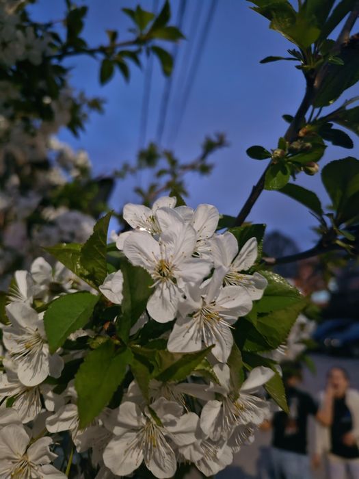 Camera/aparat foto DSLR Nikon D3200