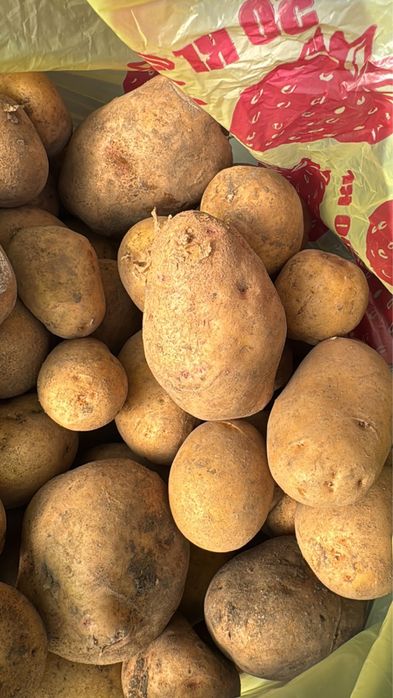 Продам картофель, цена за ведро! Доставка