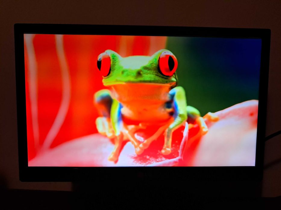 Монитор 18.5" - 19MN43D-PZ (със звукова система)