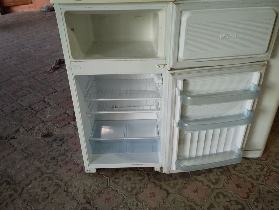 Biryusa xolodinik  yaxshi