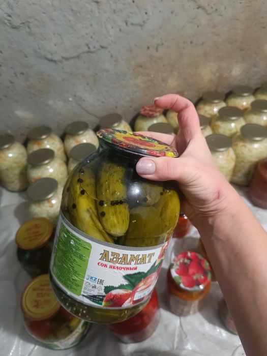 Продам соленье этого года