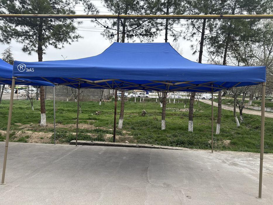 Karkaz zontik hamma razmerdan bor