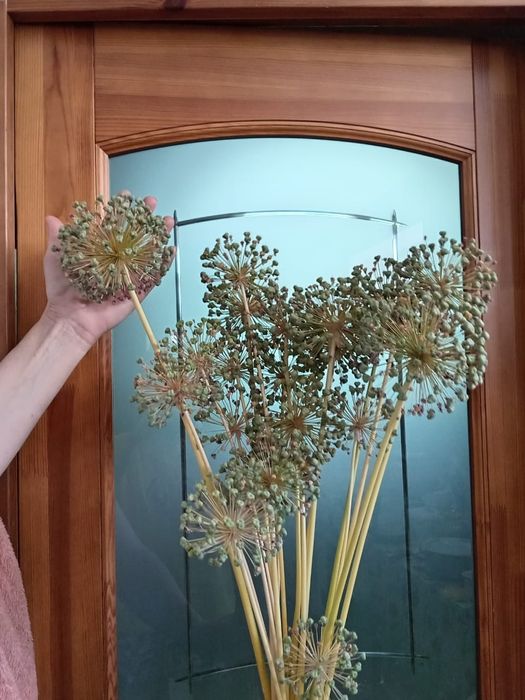 Декоративный лук