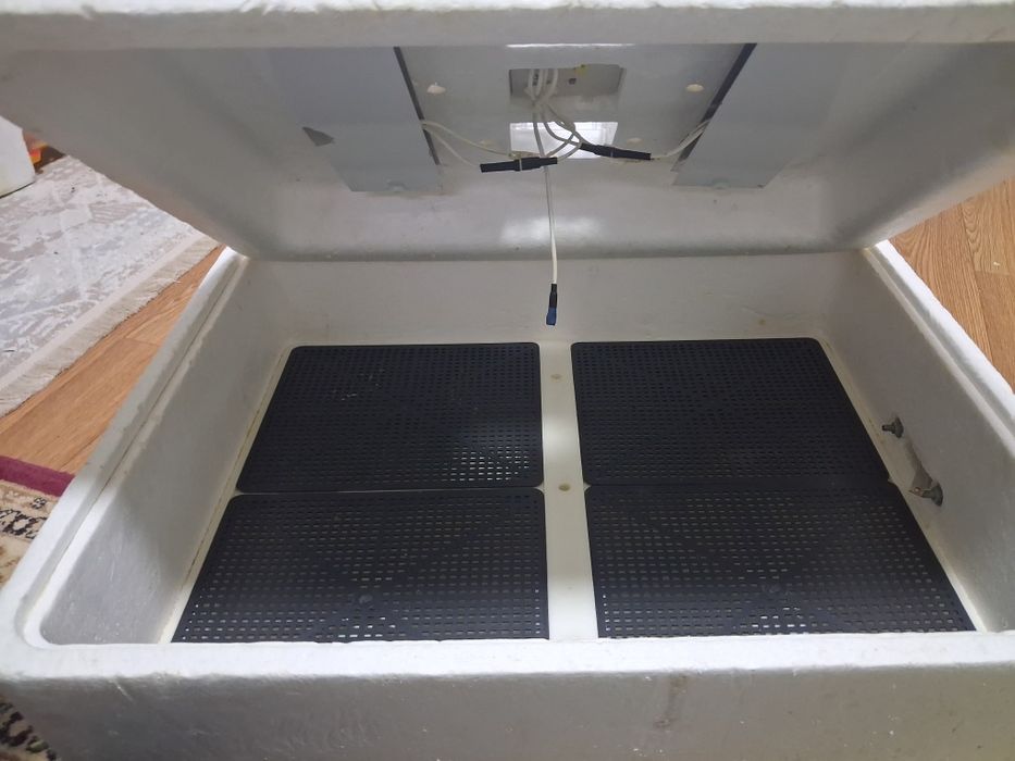 Инкубатор несушка 77