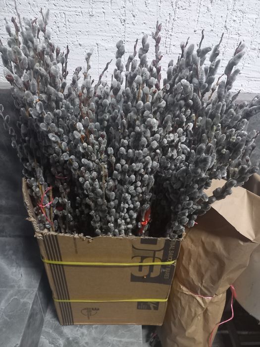 Букеты из вербы свежие